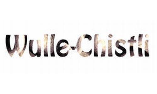 Logo Wulle-Chistli